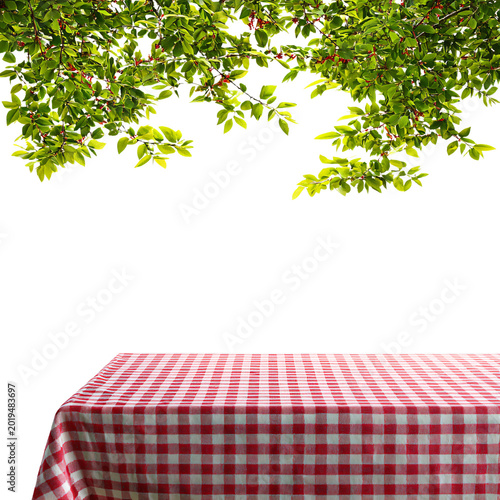 Checkered Tablecloth Picnic Setting with Summer Background Isolated