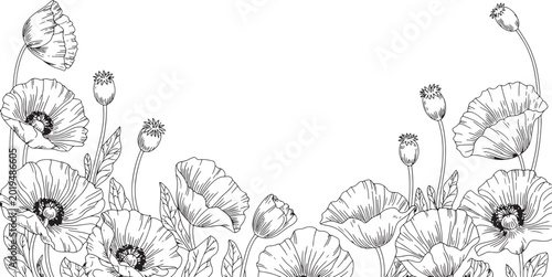 Delicate Monochrome Floral Corner Illustration with Hand Drawn Daisy, Chrysanthemum Flowers and Botanical Leaves for Wedding Invitation Design