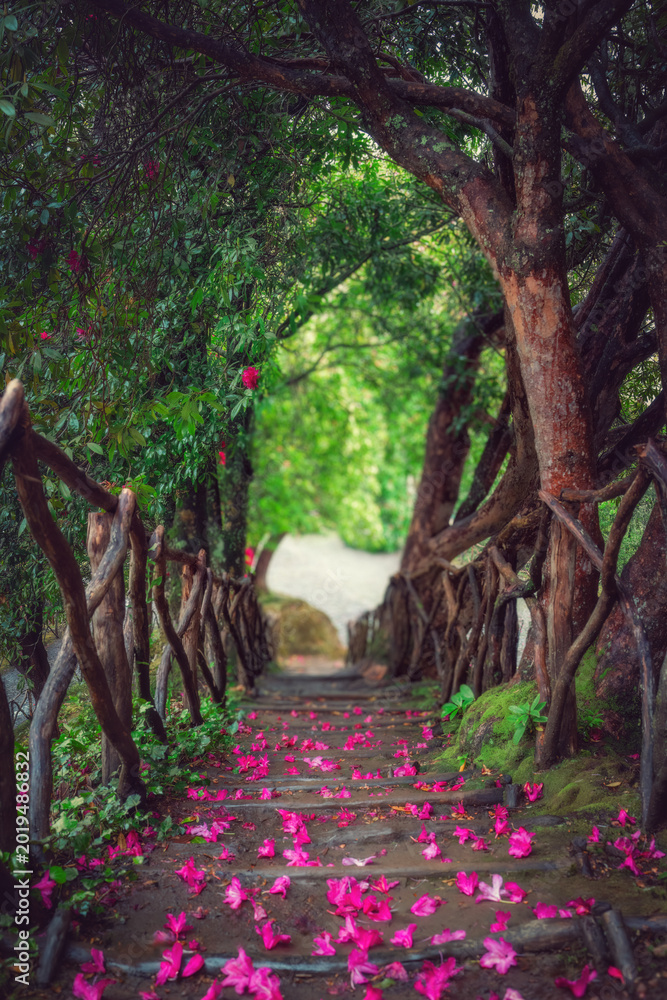 Naklejka premium Fairytale Forest Path with Fallen Pink Petals and Rustic Wooden Railing Steps in Madeira Garden Portugal