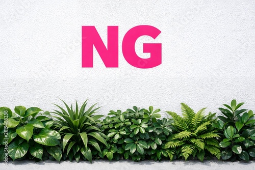 NGの文字が強調された白い壁と植物で表現する禁止や注意喚起のイメージ