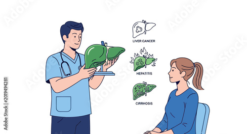 Obraz na płótnie Doctor Explains Liver Diseases to Patient with Anatomical Model