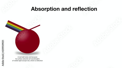animation of Physics infographic showing light absorption and reflection on red, black, and white surfaces. Educational illustration explaining how objects appear in different colors to human eyes