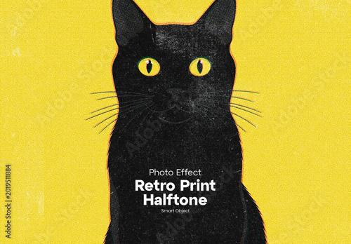 Halftone Retro Print Photo Effect