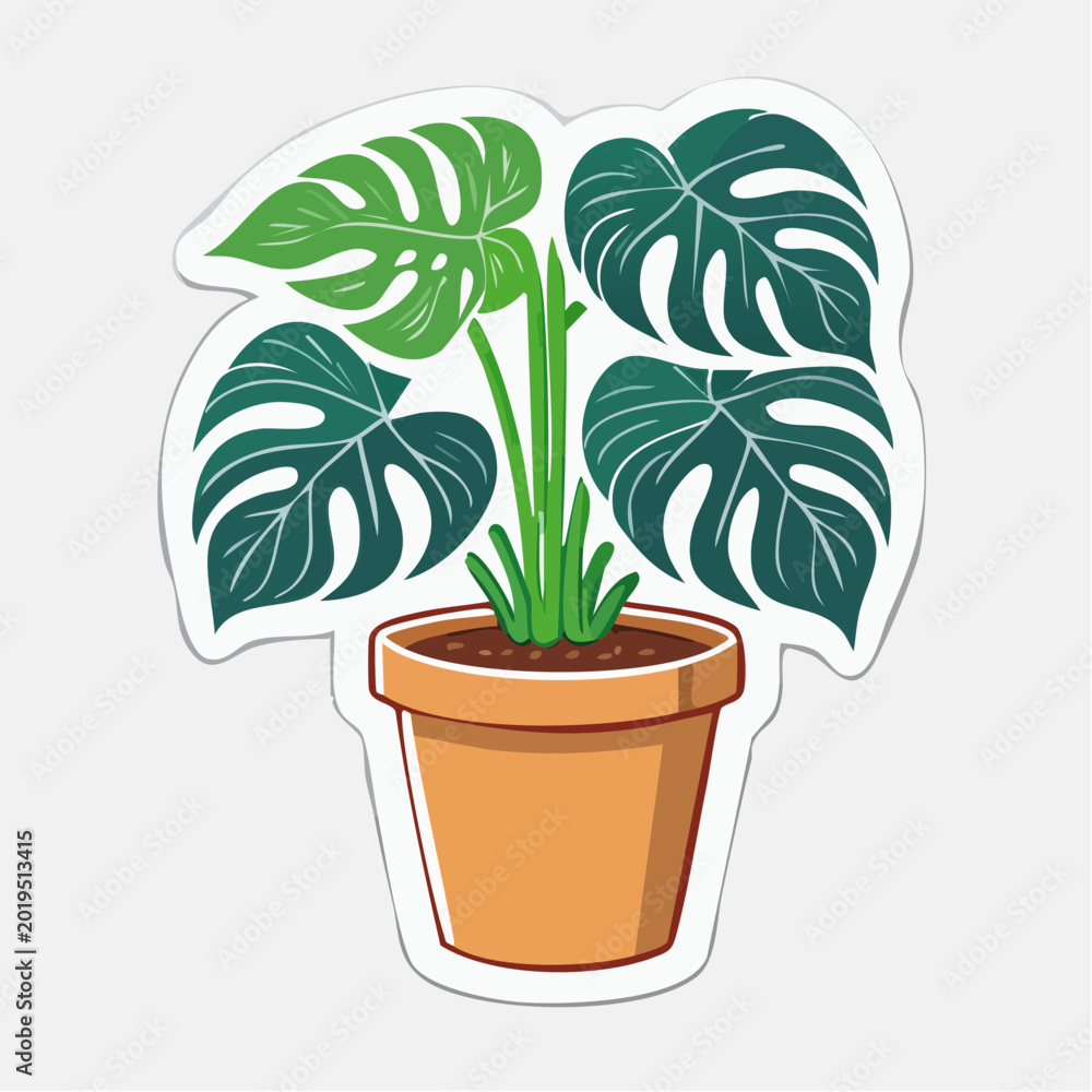 Fototapeta premium Monstera Plant in a Terracotta Pot