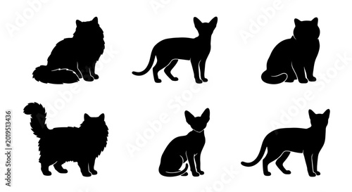 Schilderij op canvas Six Silhouette Cat Breeds Vector Set, Elegant Feline Poses, Domestic Animal Icon