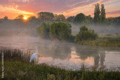 a serene sunrise over a misty lake, featuring a graceful white heron standing near the calm water's edge