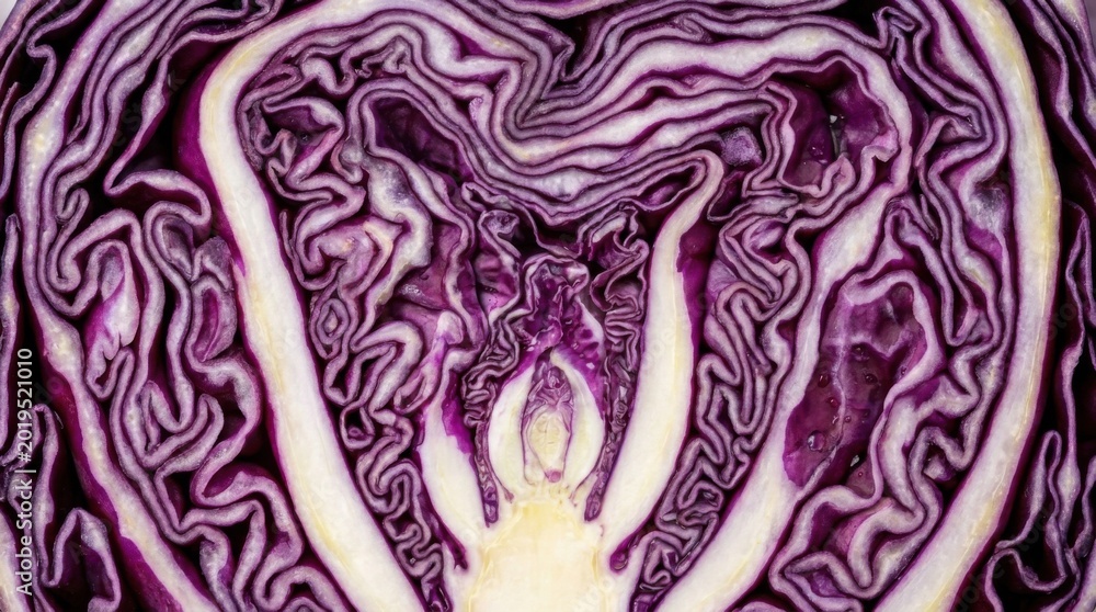 Obraz premium Abstract Macro Texture of Red Cabbage Cross Section
