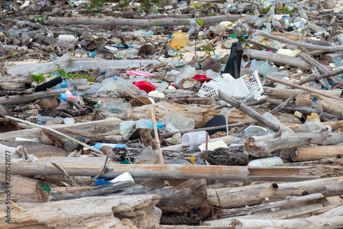 Photography Beach Pollution With Plastic Waste and Driftwood