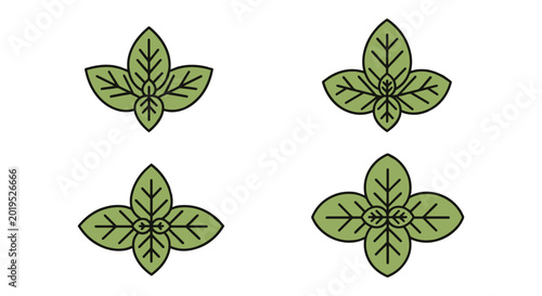 Basil Leaf Line art vector modern abstract creative illustration