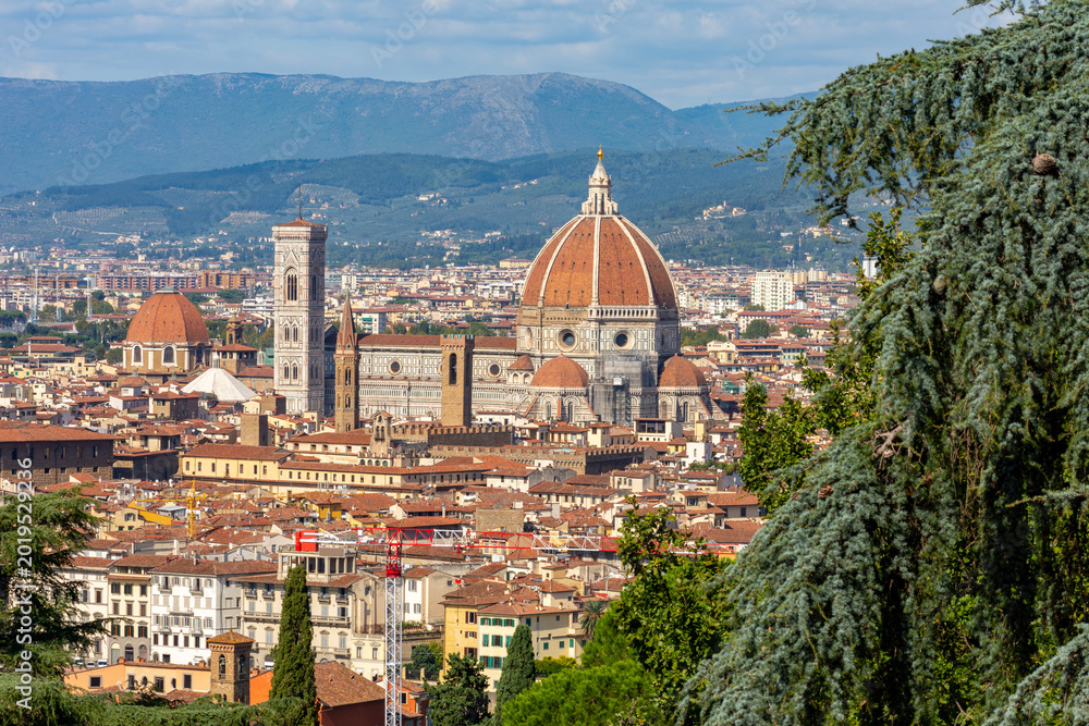 Fototapeta premium Florence cathedral (Duomo) over city center, Italy