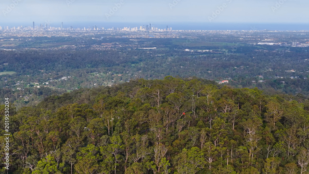 Fototapeta premium Aerial View of Gold Coast Hinterland Forest with Distant City Skyline