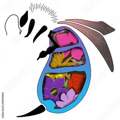 Abstract pattern, Geometric symmetrical, Ornament decorative bee