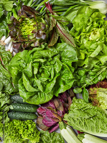 Assorted fresh leafy vegetables arranged as colorful healthy food background