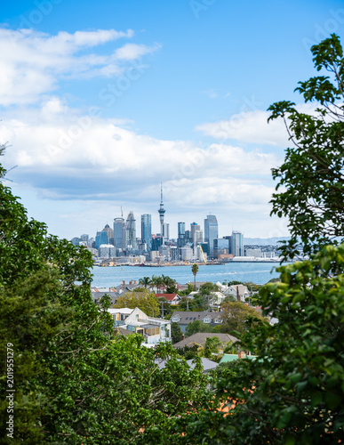Panoramic Auckland City Skyline with Sky Tower and Waitemata Harbour, New Zealand Urban Landscape Viewed Through Green Foliage, Modern Architecture and Residential Suburbs under Blue Sky