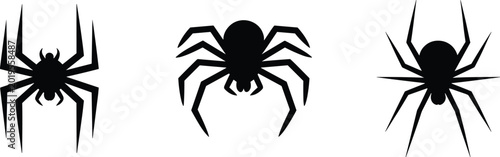 Foto Three Black Spider Silhouettes With Different Leg Positions On White spiders ara