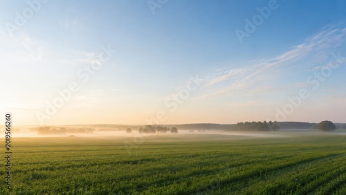 Misty Green Agricultural Field Landscape with Clean Sky Copy Space