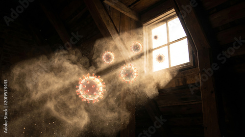 Sunbeam through the attic window illuminates dust and virus particles.