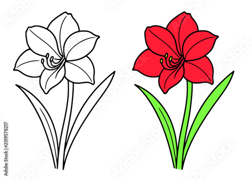 Cuadro en lienzo Amaryllis vector icon illustration, in line art and colored design, for flower t