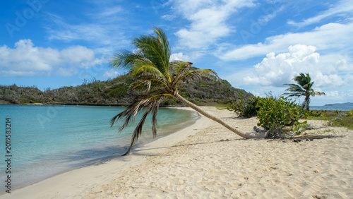Palmier incliné sur une plage de sable blanc avec la mer bleue turquoise et une île à l'arrière plan par une journée ensoleillée avec quelques nuages à Mayraud dans les Grenadines