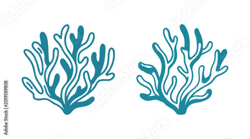 Photos Two stylized blue coral branches, minimalist vector illustration