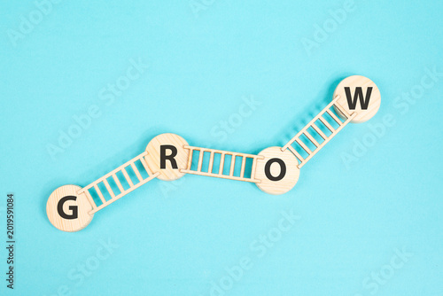 Career grow ladder, opportunity, targeting goal, growth and success, progress and leadership, challenge, achievement, vision and ambition, business, education and upskillig