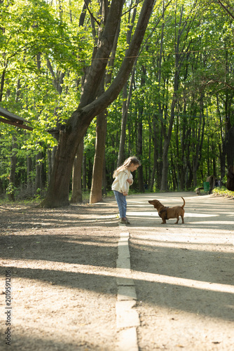 Cute Little Girl Playing with Dachshund in the Park – Happy Childhood and Pet Friendship
