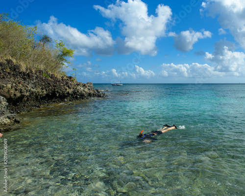 Littoral rocheux avec de la végétation qui tombe dans la mer bleu turquoise où nage une femme en PMT à la pointe borgnese en Martinique dans la Caraïbe, par une journée ensoleillée avec des nuages