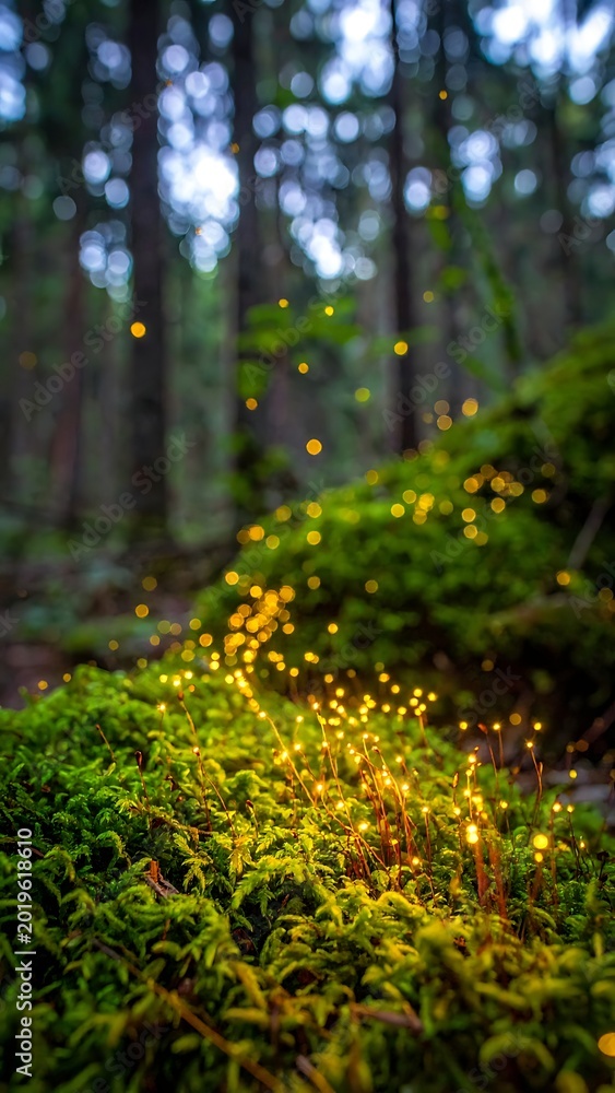 Fototapeta premium Fireflies on mossy forest ground at dusk.