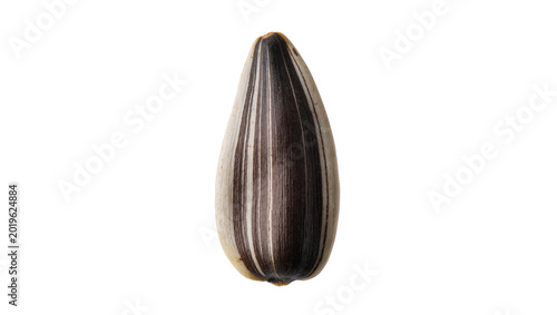 Single striped sunflower seed isolated on transparent background