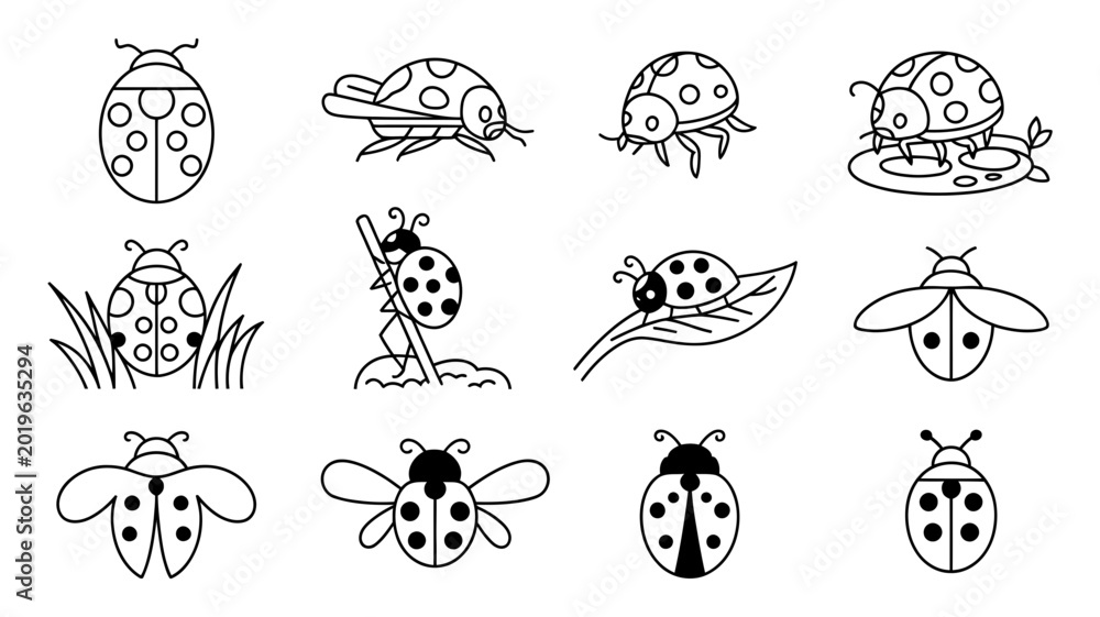 Fototapeta premium Collection of ladybug illustrations on leaves and grass with creature illustration collection wildlife