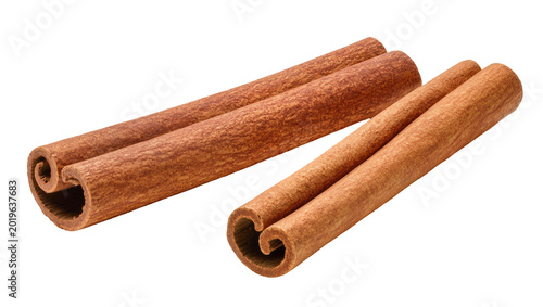 Tableau sur toile Two whole cinnamon sticks with textured brown bark, isolated on transparent back