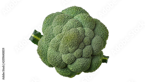 Photos Fresh green broccoli florets with stem, isolated on transparent background