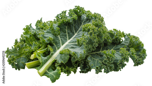 Fotografía Fresh green curly kale leaves with thick stems, isolated on transparent backgrou