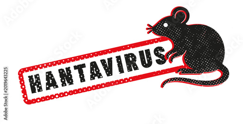 virus HANTAVIRUS ou orthohantavirus