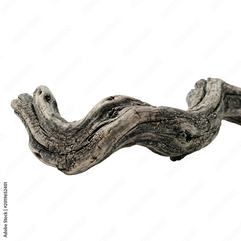 Obraz premium Weathered driftwood branch with smooth bone like curves and fine salt crusted cracks