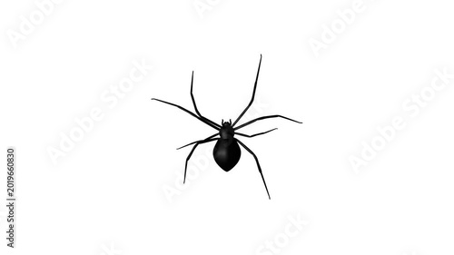 Creepy black spider crawling on white screen background for Halloween animation