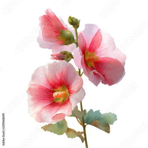 Hollyhock Watercolor Images – Browse 1,465 Stock Photos, Vectors