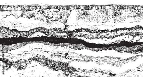 Foto Detailed black and white cross section of layered rock strata and granular sedim