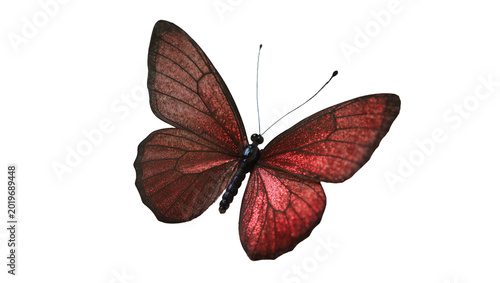 Obraz na plátně Detailed dark red butterfly with intricate vein patterns, isolated on transparen