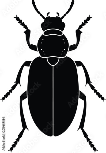 Top view silhouette of a detailed ground beetle insect vector illustration