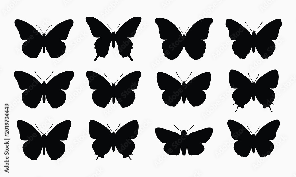 Obraz premium Butterfly collection black silhouettes on white background