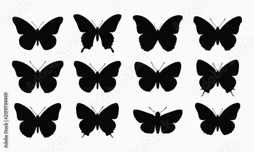 Butterfly collection black silhouettes on white background
