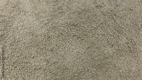 Bild auf Leinwand Close-up of coarse fibrous beige surface with dense, irregular texture suggestin