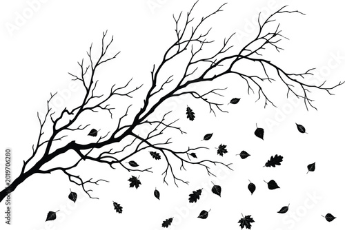 Bare tree branches with scattered falling leaves in winter