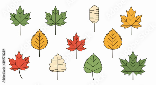 A collection of stylized autumn leaves in various colors and shapes