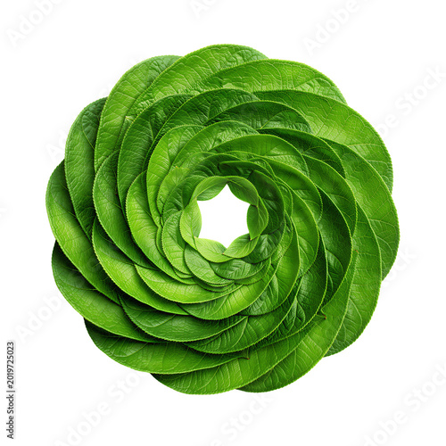 Green Leaf Spiral Circle Isolated on Transparent Background PNG