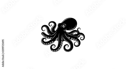 Black octopus tentacles curled up.