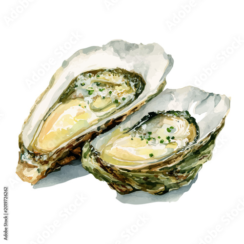 Obraz na plátně watercolor of Oysters Rockefeller, vector, isolated on a white background