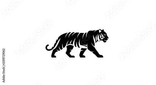 Black silhouette of a tiger walking.