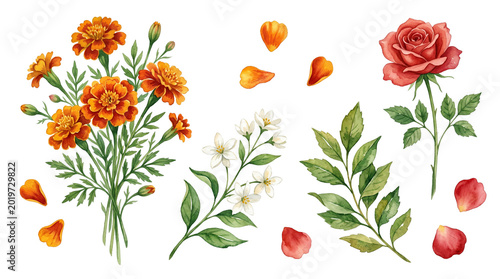 Watercolor Botanical Floral Illustration Elements Set